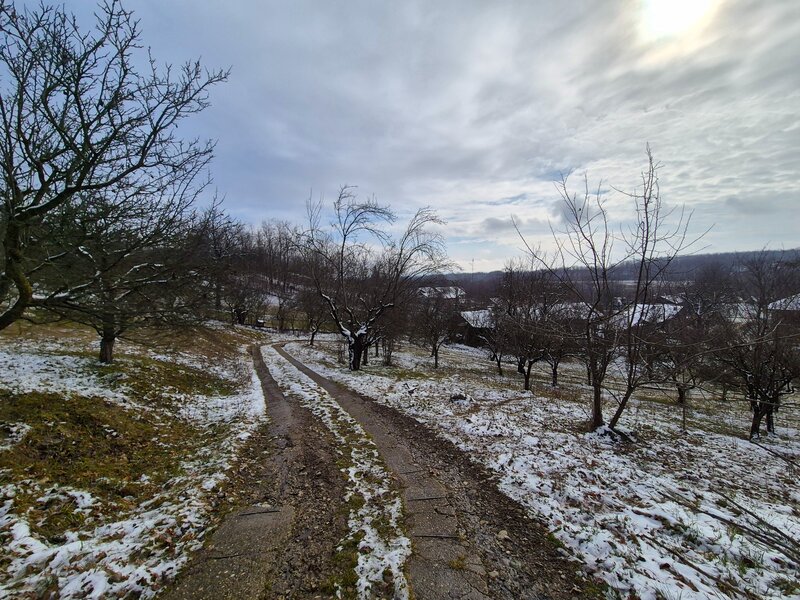 Campina, Baicoi, Scorteni,