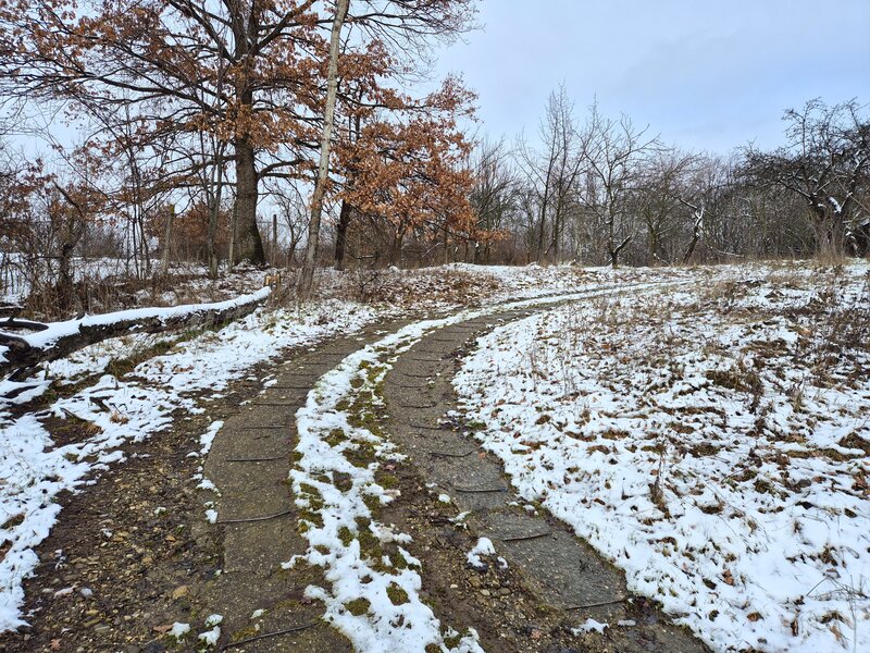 Campina, Baicoi, Scorteni,